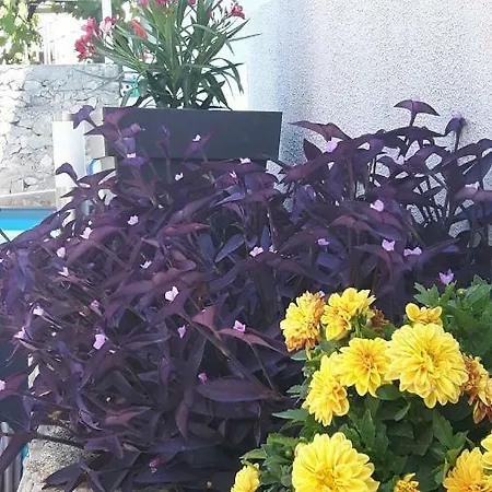 Ela Διαμέρισμα